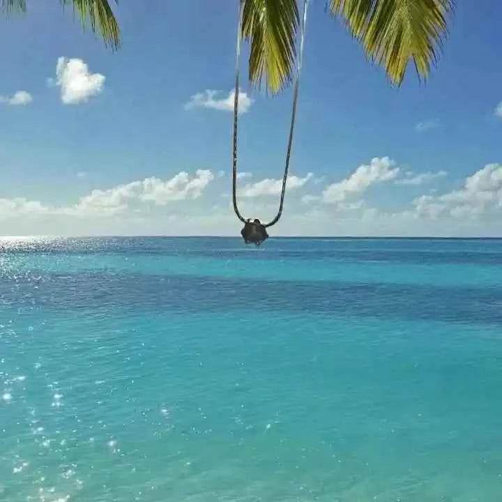 Collier Pendentif Zirconium en Acier Inoxydable - Reunivente.re